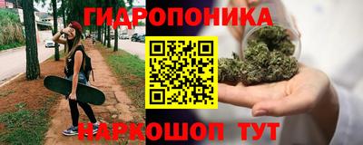 амф Жуковский