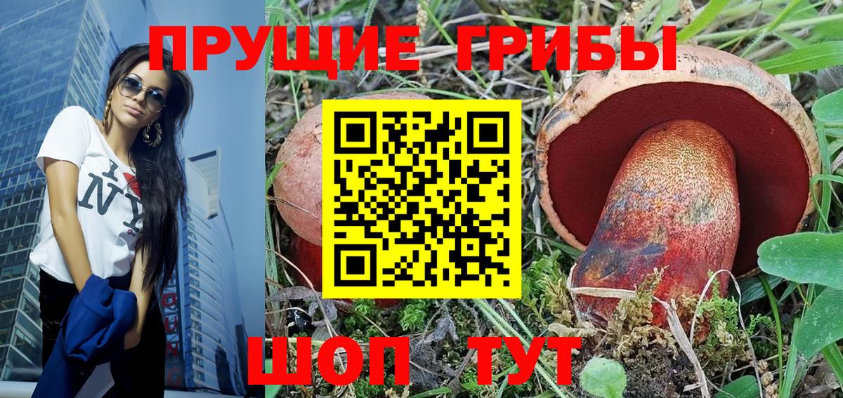 Выборг  Псилоцибиновые грибы Psilocybe  Вход с VPN 